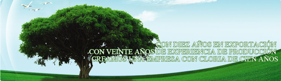 上海世拓机器有限公司